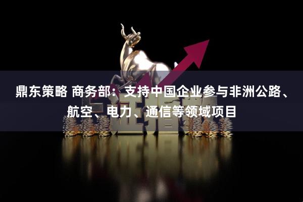 鼎东策略 商务部：支持中国企业参与非洲公路、航空、电力、通信等领域项目