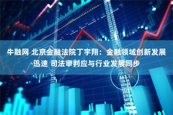 牛融网 北京金融法院丁宇翔：金融领域创新发展迅速 司法审判应与行业发展同步