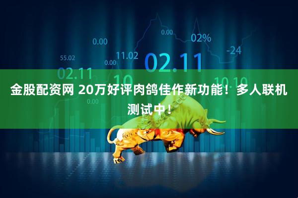 金股配资网 20万好评肉鸽佳作新功能！多人联机测试中！