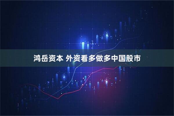 鸿岳资本 外资看多做多中国股市