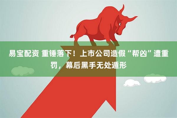易宝配资 重锤落下!上市公司造假“帮凶”遭重罚,幕后黑手无处遁形