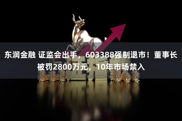 东润金融 证监会出手,603388强制退市!董事长被罚2800万元,10年市场禁入