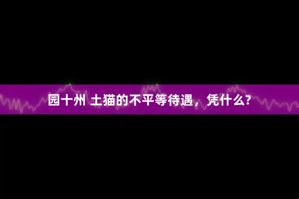 园十州 土猫的不平等待遇，凭什么?