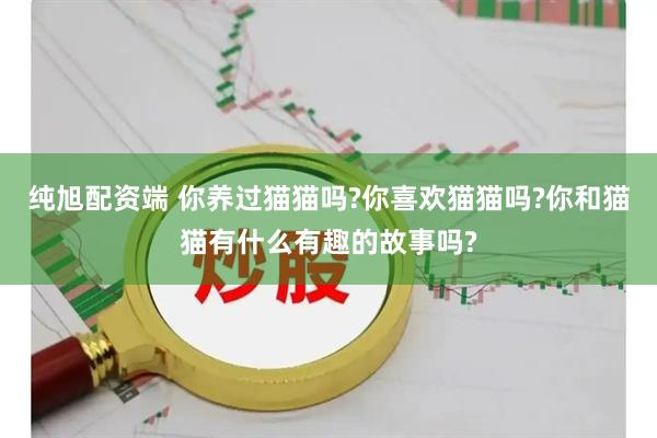 纯旭配资端 你养过猫猫吗?你喜欢猫猫吗?你和猫猫有什么有趣的故事吗?