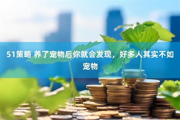 51策略 养了宠物后你就会发现，好多人其实不如宠物